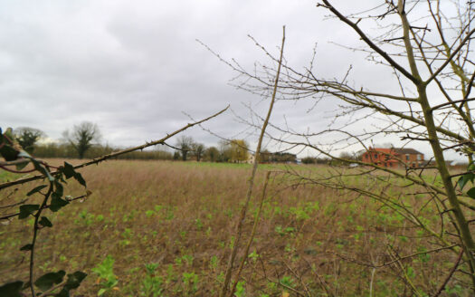 Willow Grange, Woodhouse, Belton, DN9 1QH