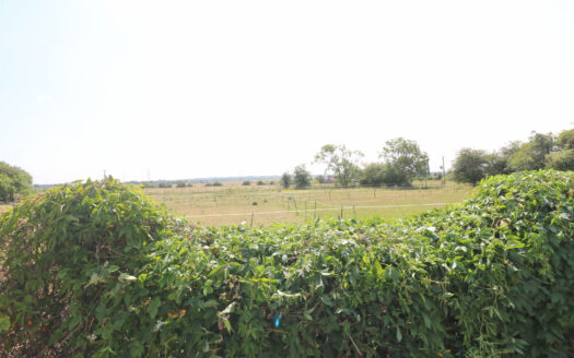 ASHFIELD LODGE, STOCKWITH ROAD, WALKERINGHAM, DN10 4JF